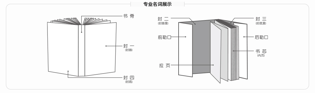 专业名词